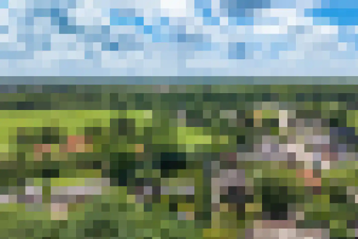 Achterlaan 3 Castricum thumbnail 65