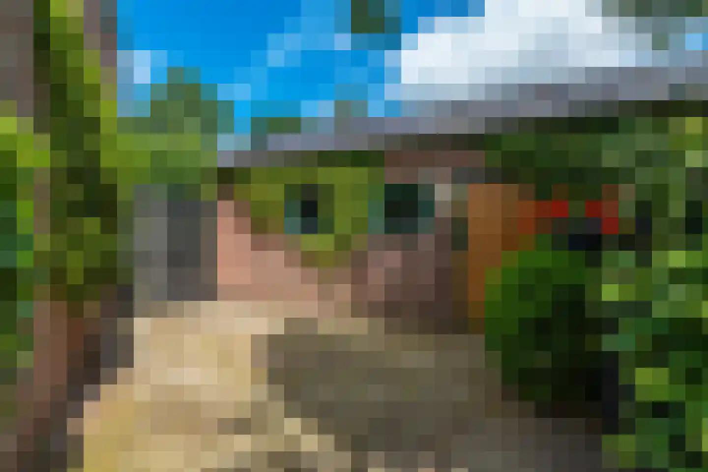 Achterlaan 3 Castricum thumbnail 71