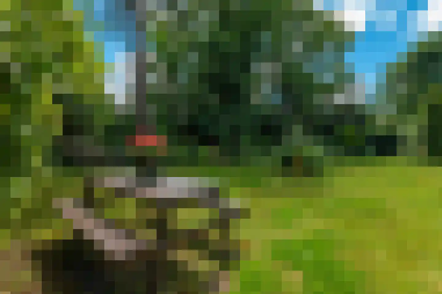 Achterlaan 3 Castricum thumbnail 73