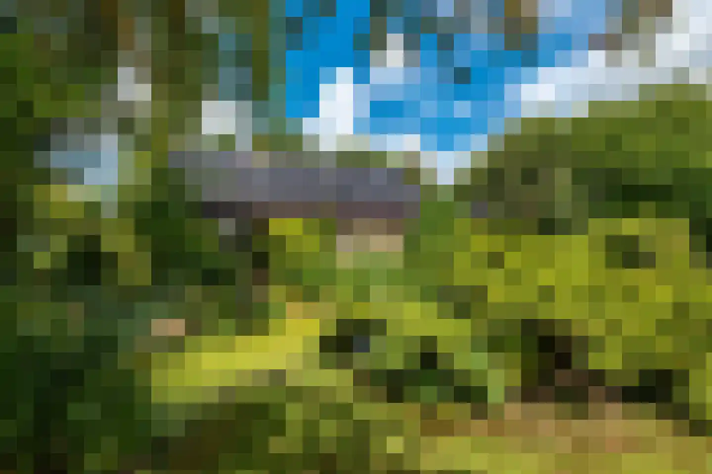 Achterlaan 3 Castricum thumbnail 76