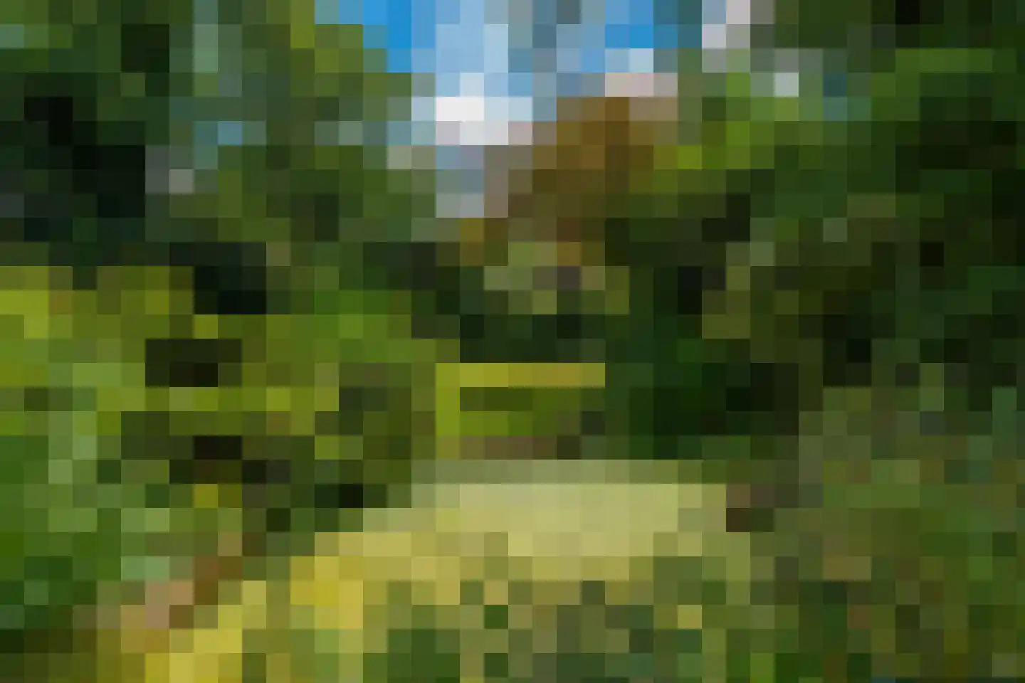 Achterlaan 3 Castricum thumbnail 77