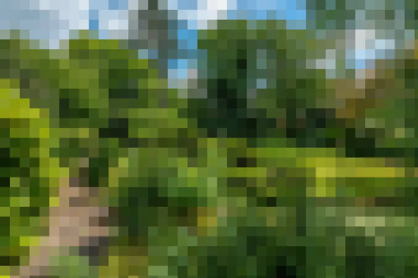 Achterlaan 3 Castricum thumbnail 78