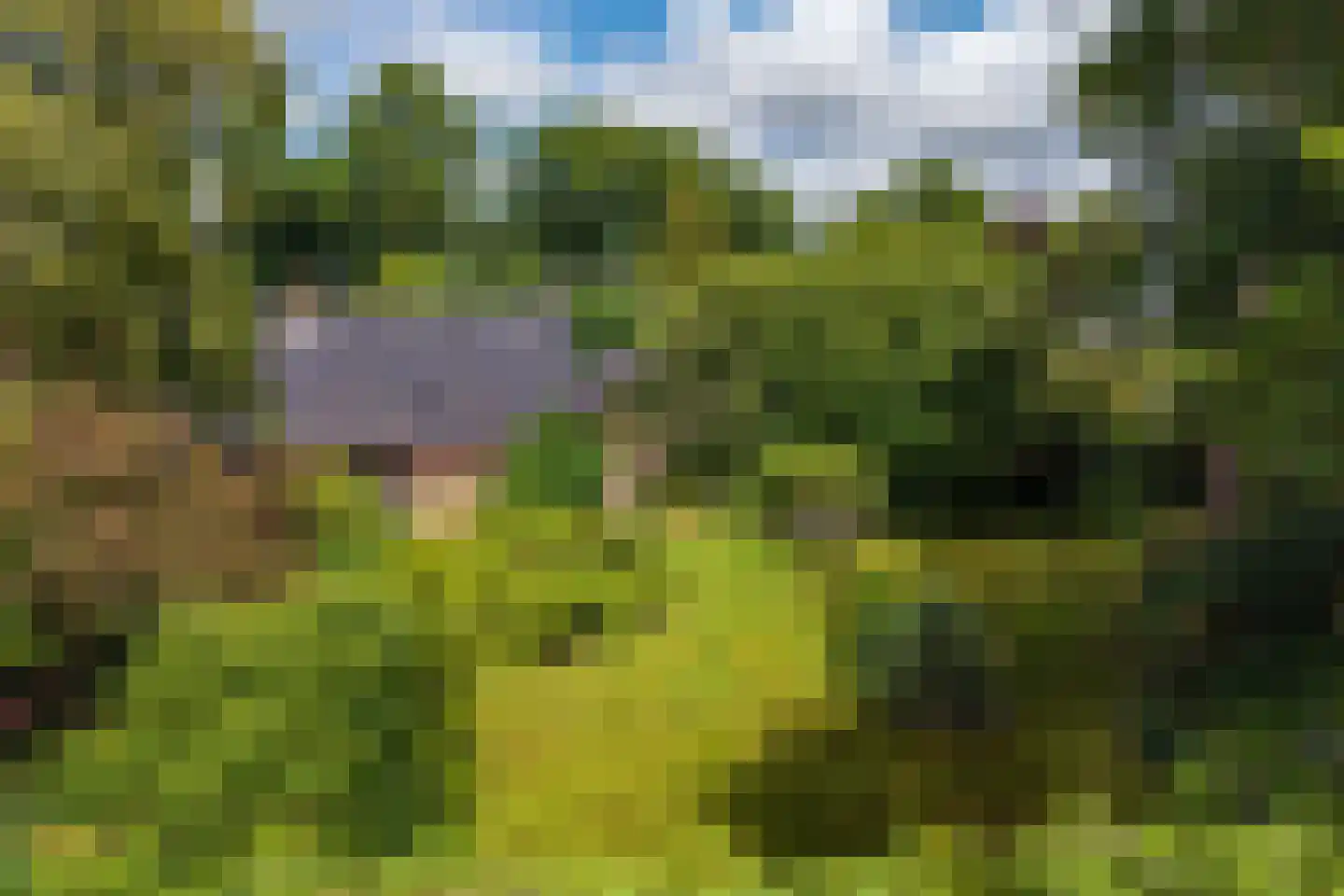 Achterlaan 3 Castricum thumbnail 79
