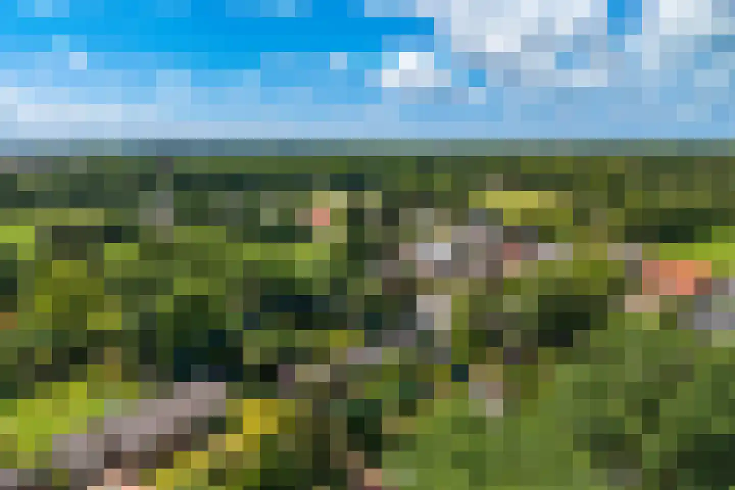 Achterlaan 3 Castricum thumbnail 82