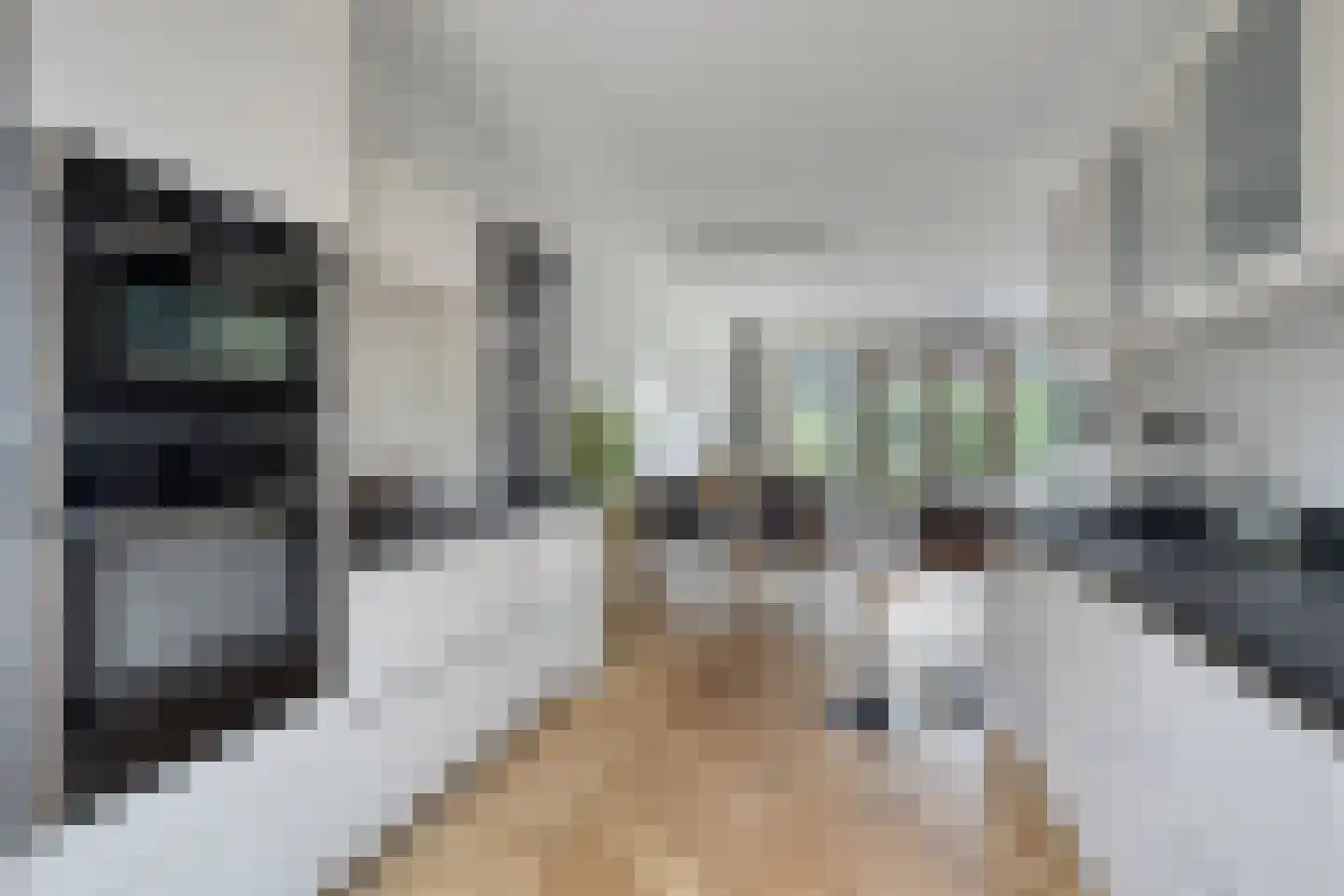Achterlader 10 Muiden thumbnail 11