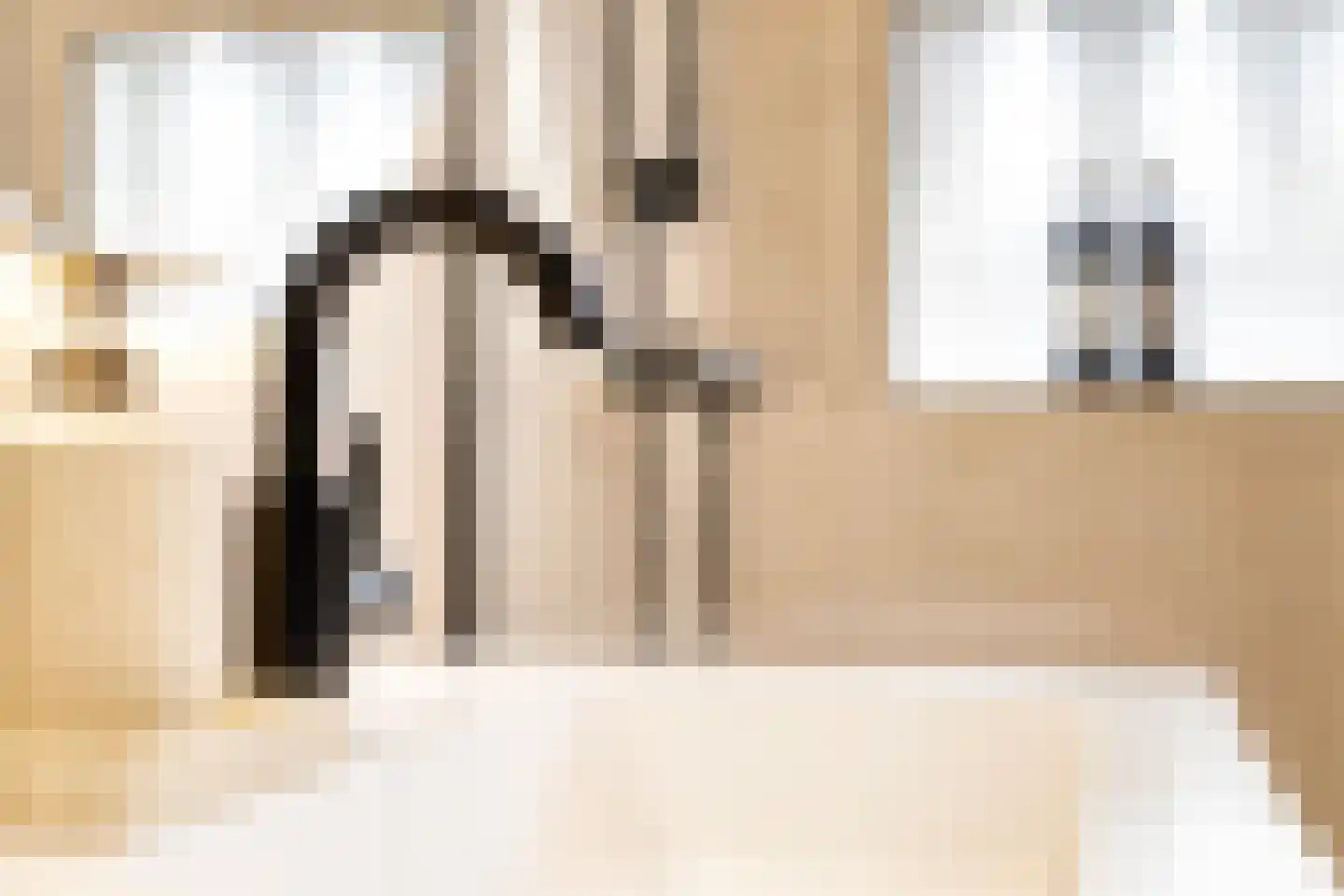 Achterlader 10 Muiden thumbnail 18