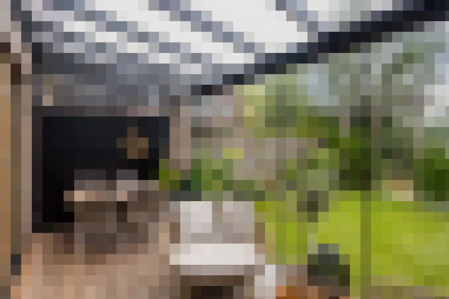 Achterlader 10 Muiden thumbnail 33