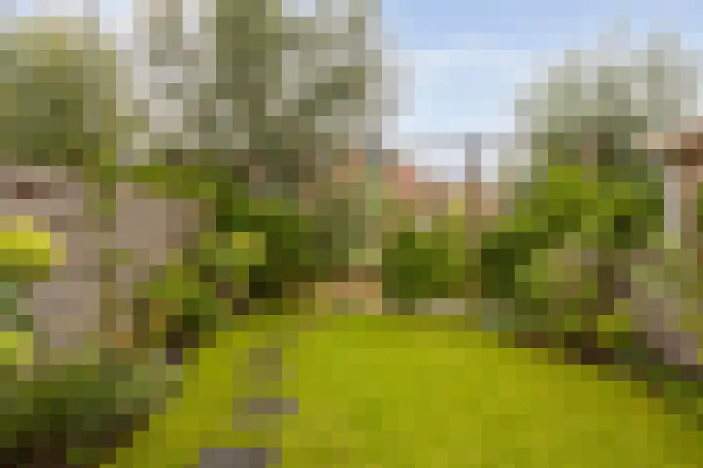 Achterlader 10 Muiden thumbnail 35