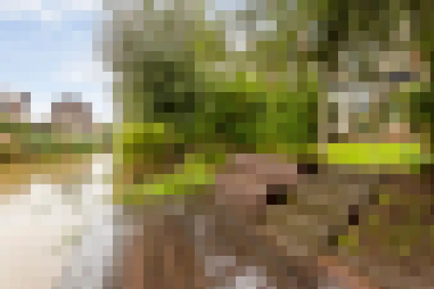 Achterlader 10 Muiden thumbnail 36