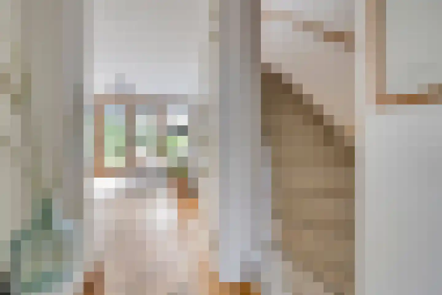 Achterlader 10 Muiden thumbnail 4