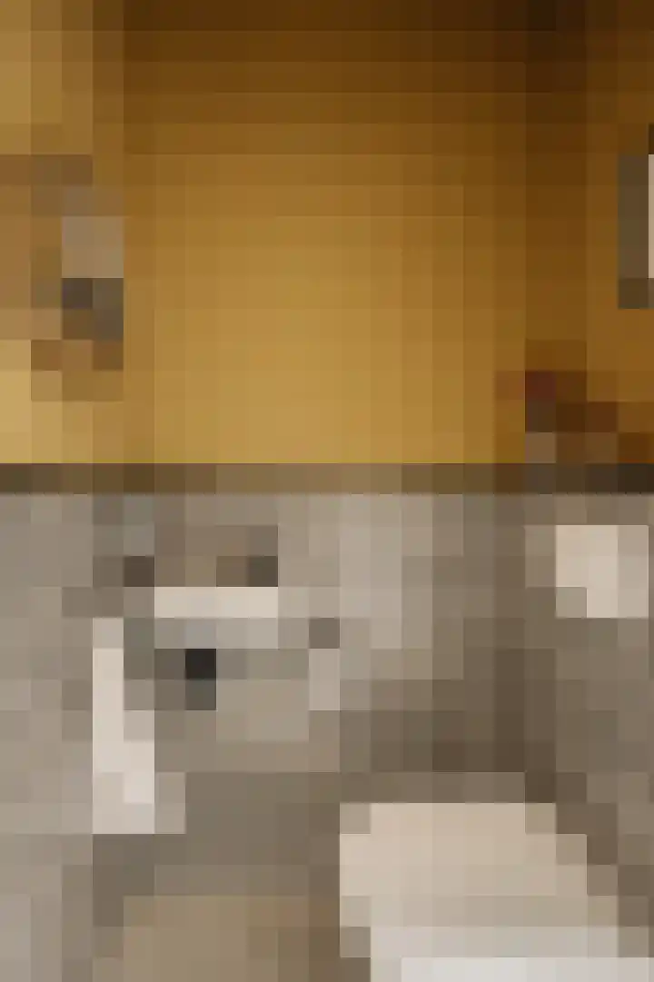 Achterlader 3 Muiden thumbnail 15