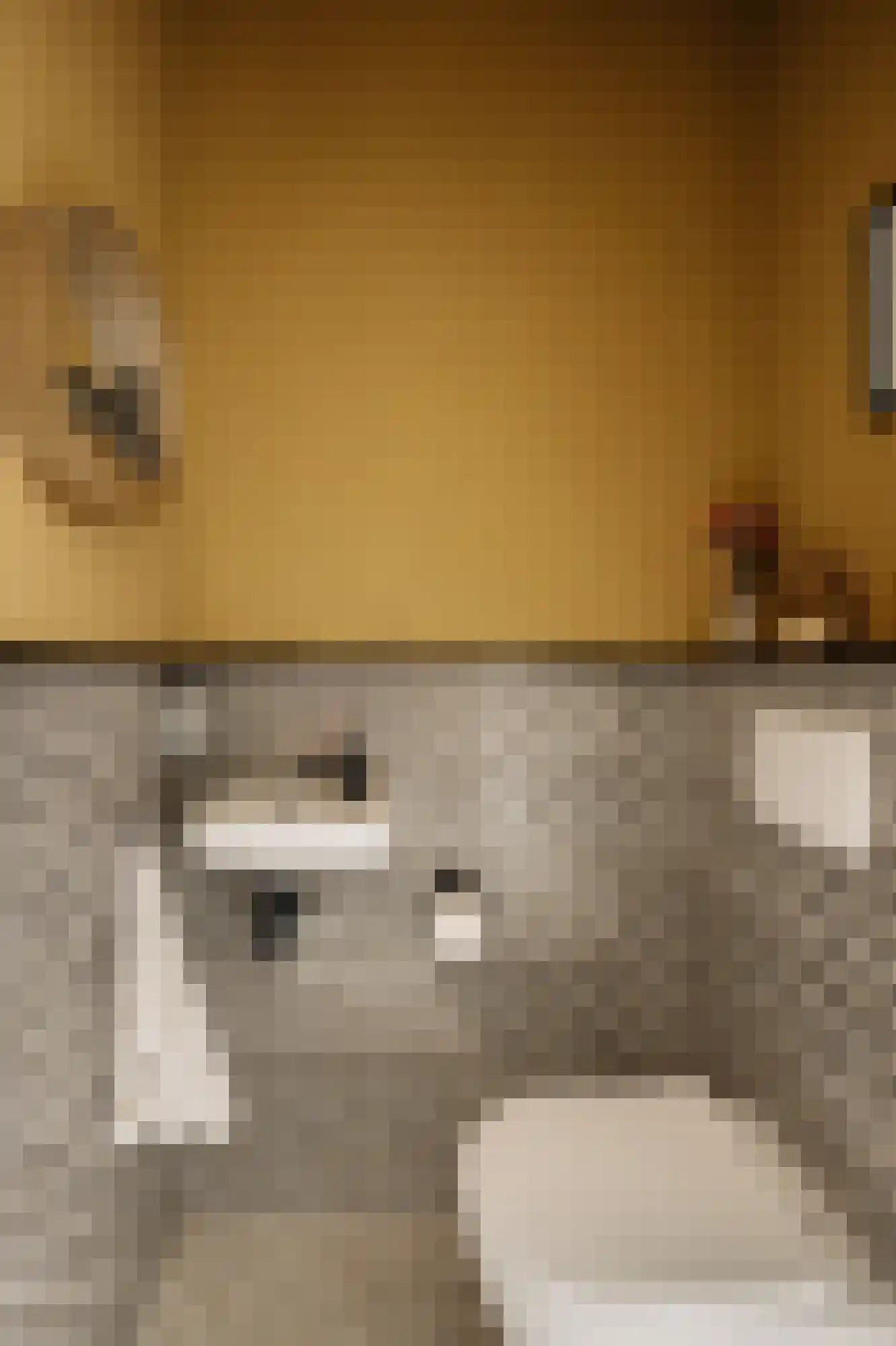 Achterlader 3 Muiden thumbnail 16