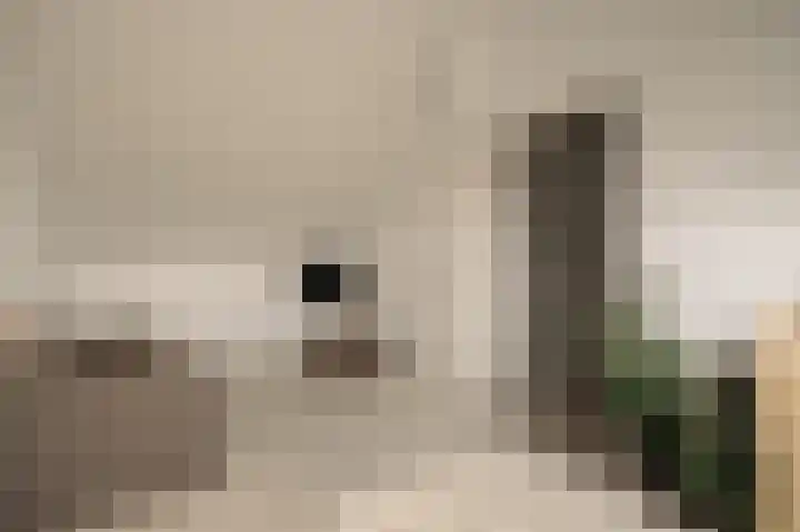 Achterlader 3 Muiden thumbnail 26