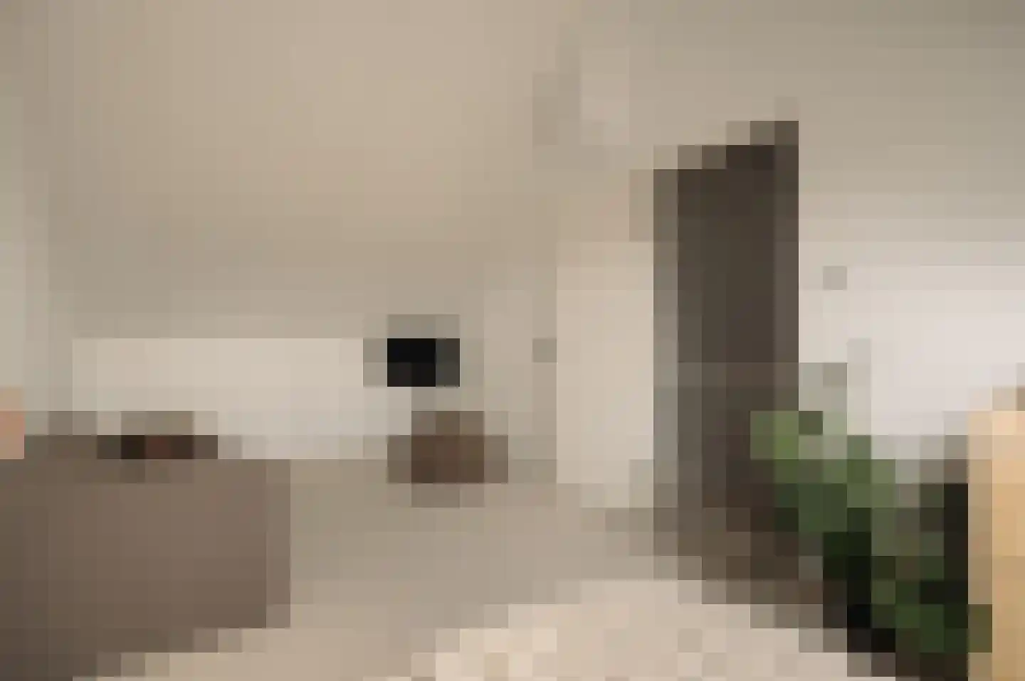 Achterlader 3 Muiden thumbnail 27