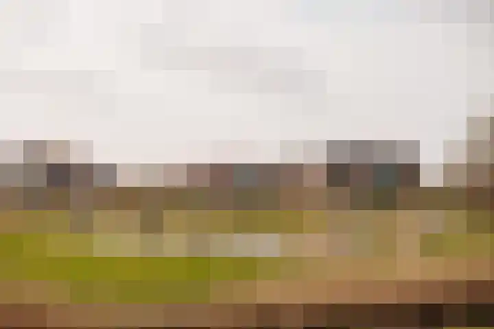 Achterlader 3 Muiden thumbnail 34