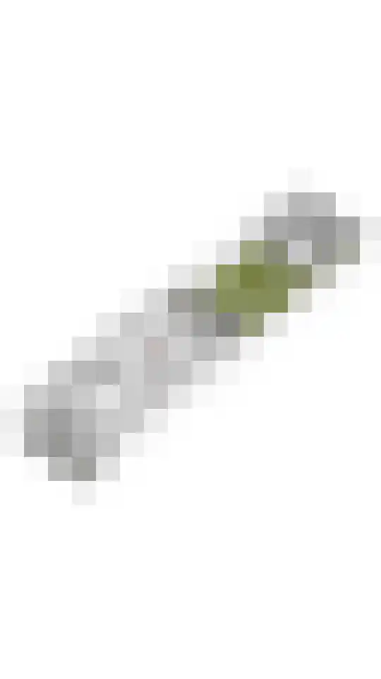 Achterlader 3 Muiden thumbnail 41