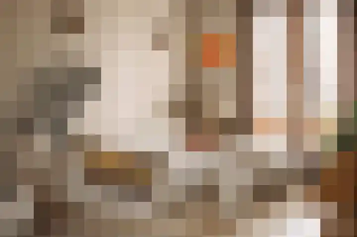 Achterlader 3 Muiden thumbnail 8