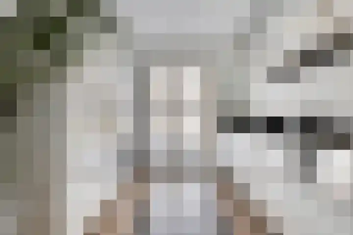 Achterlader 7 Muiden thumbnail 14