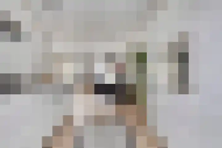 Achterlader 7 Muiden thumbnail 15