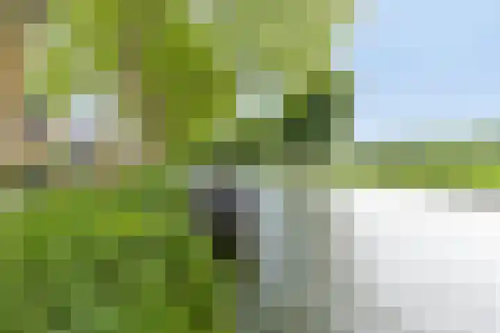 Achterlader 7 Muiden thumbnail 41