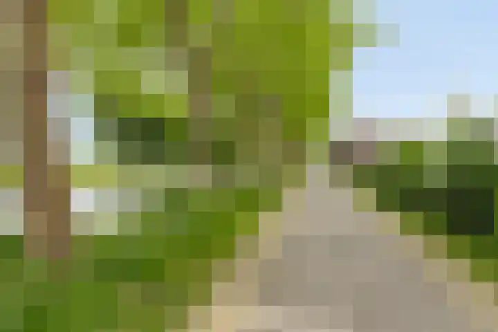 Achterlader 7 Muiden thumbnail 42