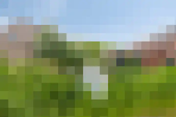 Achterlader 7 Muiden thumbnail 43