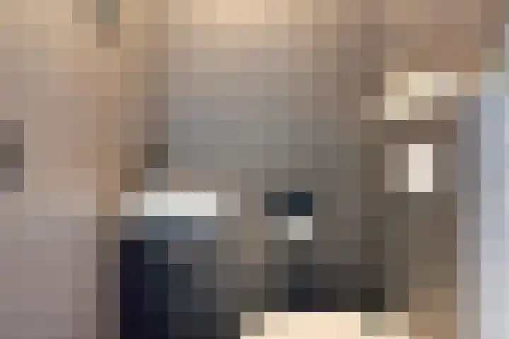 Achterlader 7 Muiden thumbnail 8