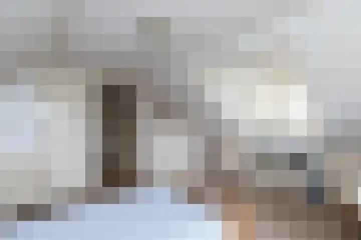 Achterland 15 a Groot-Ammers thumbnail 26