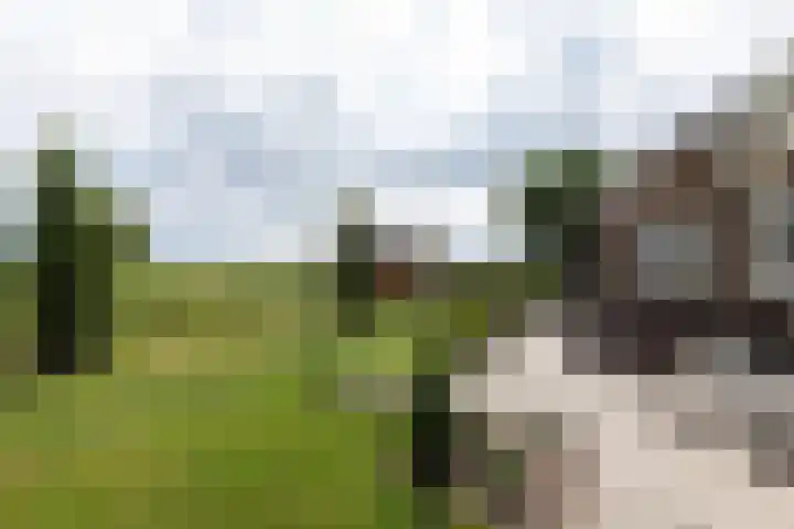 Achterland 15 a Groot-Ammers thumbnail 33