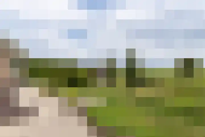 Achterland 15 a Groot-Ammers thumbnail 34