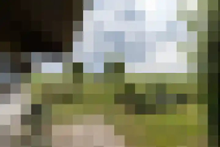 Achterland 15 a Groot-Ammers thumbnail 36