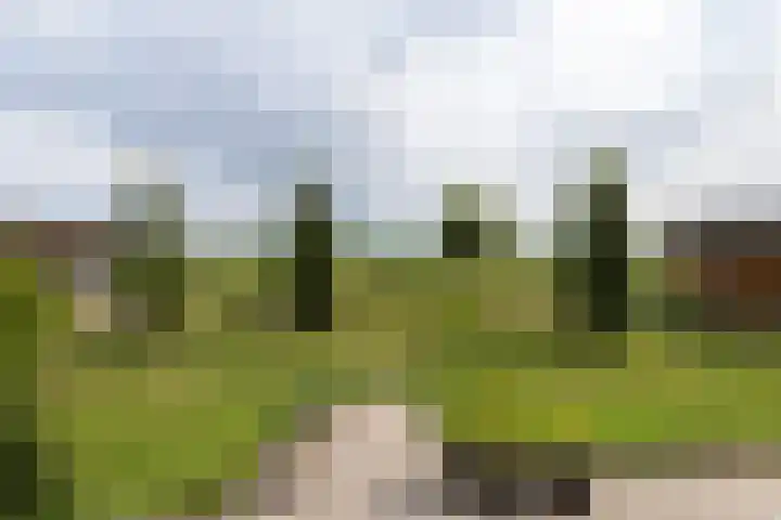 Achterland 15 a Groot-Ammers thumbnail 4