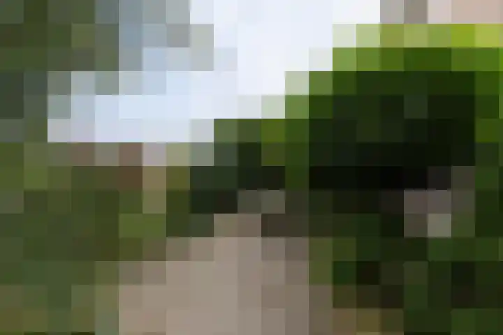 Achterland 15 a Groot-Ammers thumbnail 44