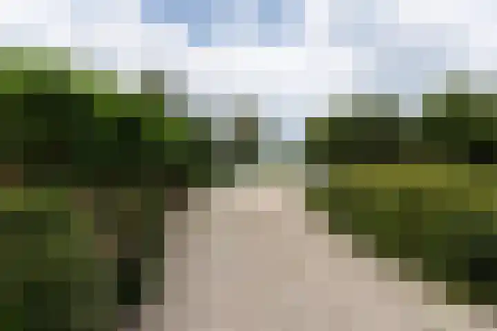 Achterland 15 a Groot-Ammers thumbnail 47