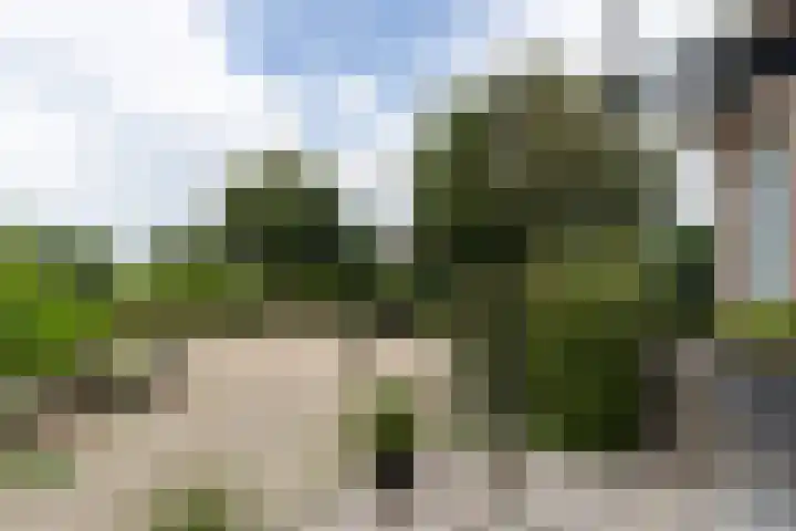 Achterland 15 a Groot-Ammers thumbnail 50