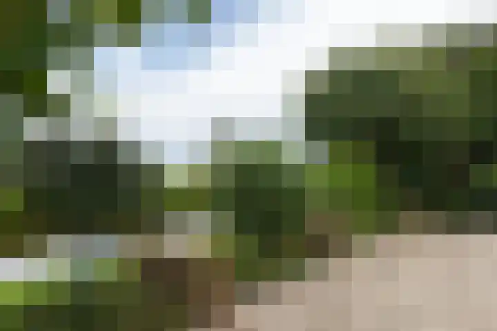 Achterland 15 a Groot-Ammers thumbnail 51