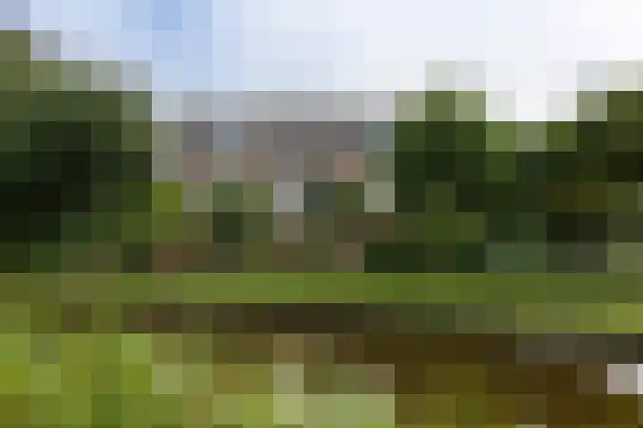 Achterland 15 a Groot-Ammers thumbnail 52