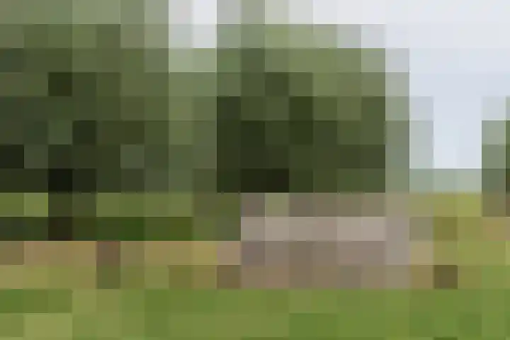 Achterland 15 a Groot-Ammers thumbnail 55
