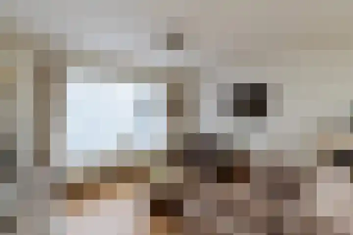 Achterland 15 a Groot-Ammers thumbnail 9
