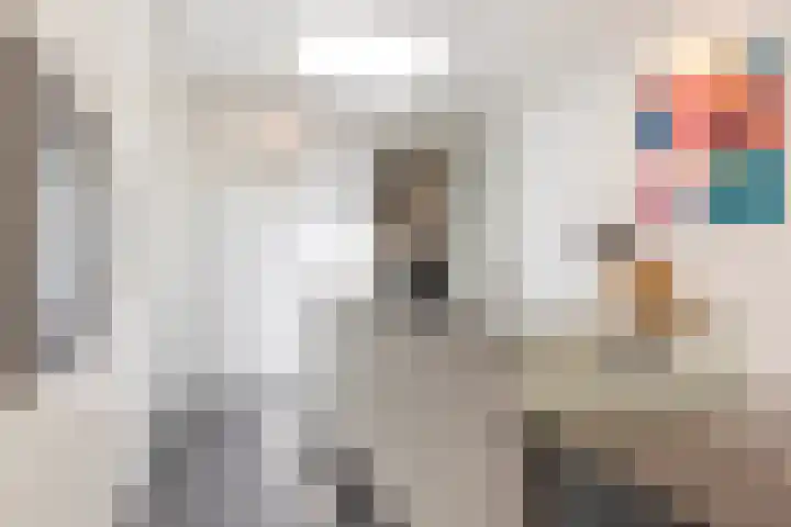 Achterlandseweg 1 Apeldoorn thumbnail 13