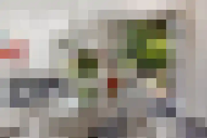 Achterlandseweg 1 Apeldoorn thumbnail 17