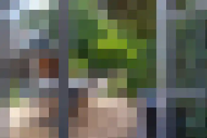 Achterlandseweg 1 Apeldoorn thumbnail 19