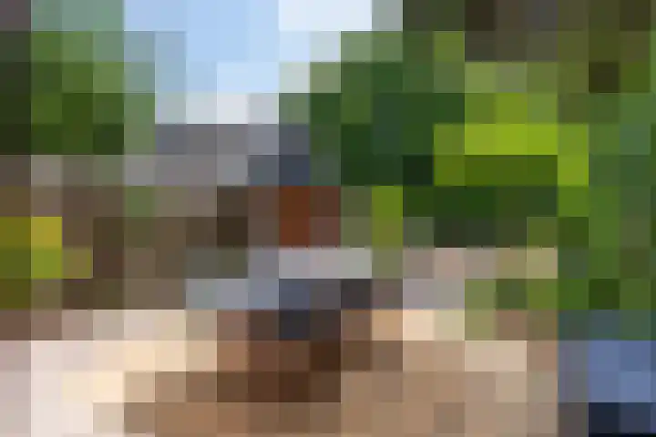 Achterlandseweg 1 Apeldoorn thumbnail 20