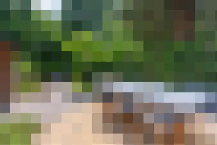 Achterlandseweg 1 Apeldoorn thumbnail 21