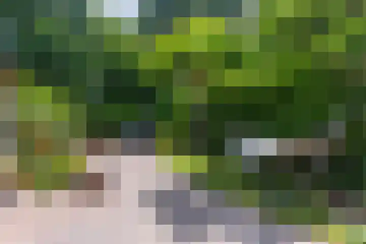 Achterlandseweg 1 Apeldoorn thumbnail 22
