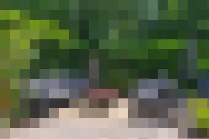 Achterlandseweg 1 Apeldoorn thumbnail 23