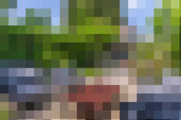 Achterlandseweg 1 Apeldoorn thumbnail 24