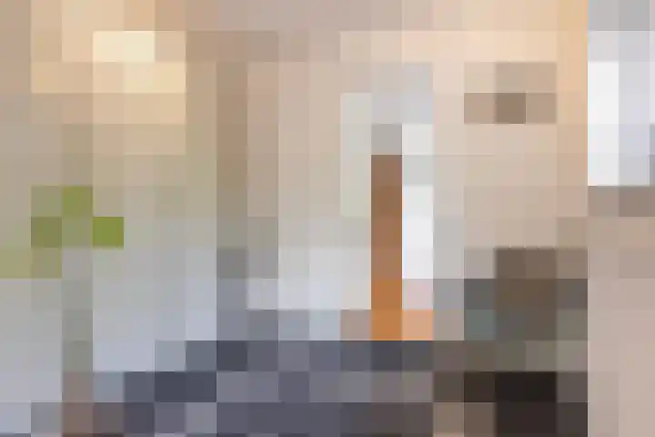 Achterlandseweg 1 Apeldoorn thumbnail 37