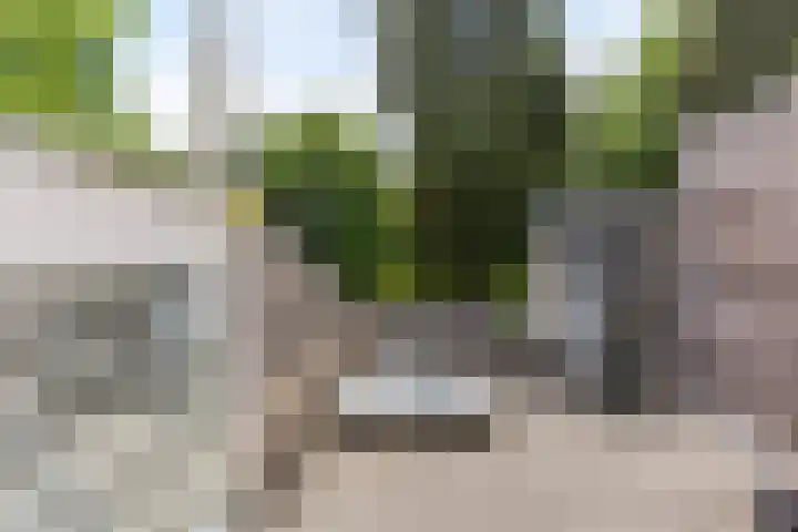 Achterlandseweg 1 Apeldoorn thumbnail 43