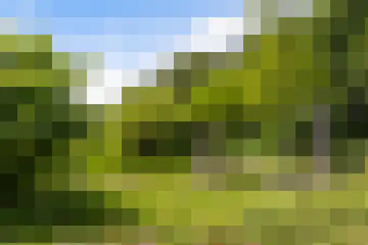 Achterlandseweg 1 Apeldoorn thumbnail 57